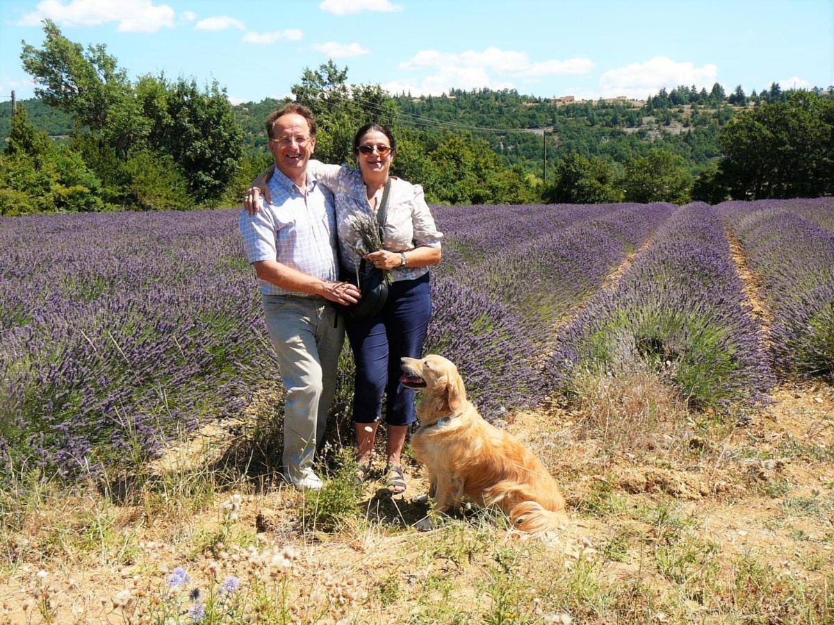 Santolines En Provence Bed and Breakfast Piolenc Exteriör bild